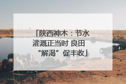 陕西神木：节水灌溉正当时 良田“解渴”促丰收